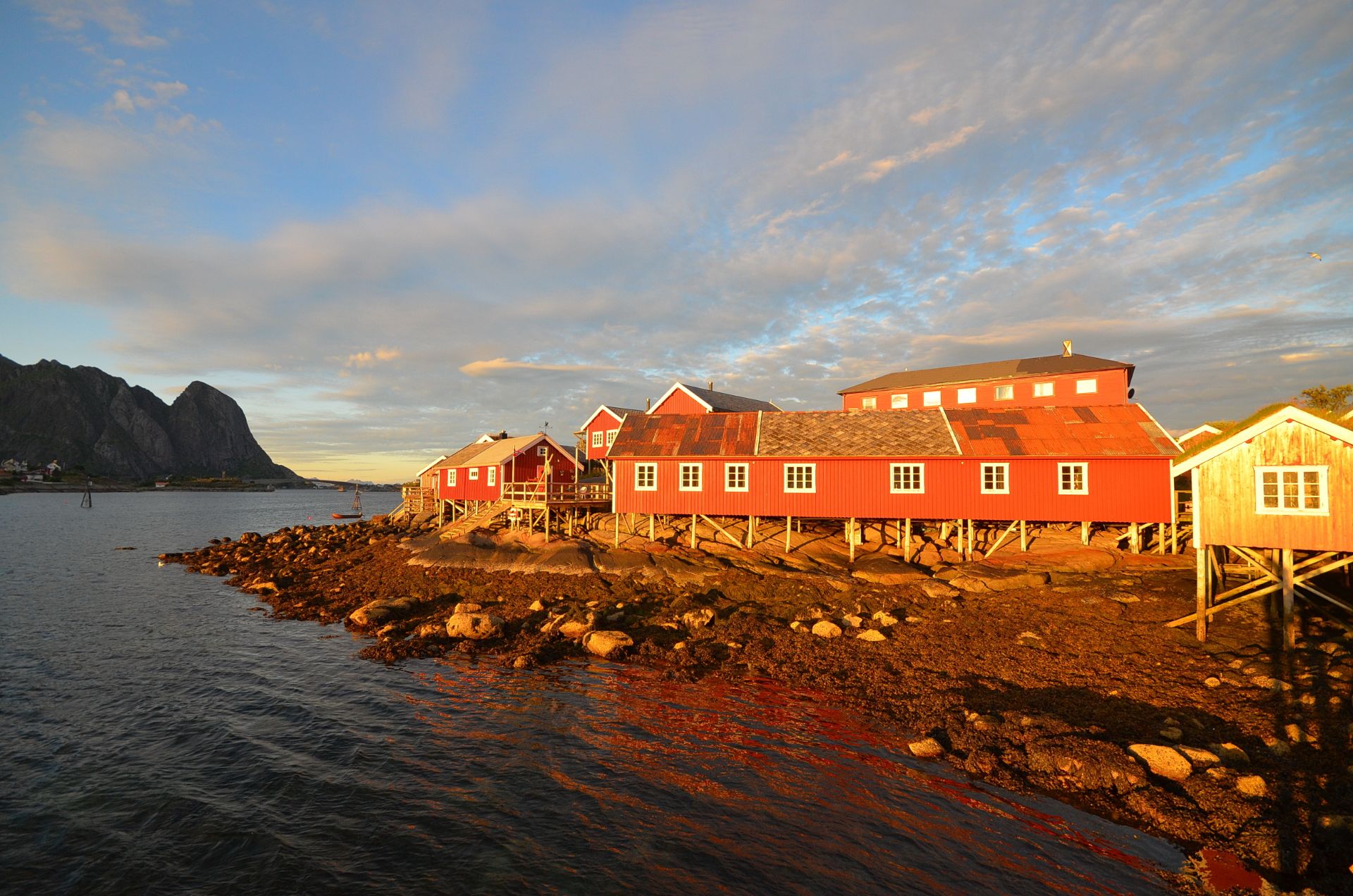 在挪威罗弗敦群岛雷讷小村的几天可能会是毕生难忘的旅行经历。很难描述刚到雷讷的时候是怎样一种复杂的内心