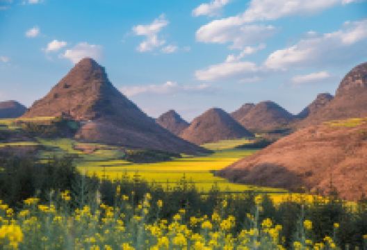 罗平油菜花景区景点图片