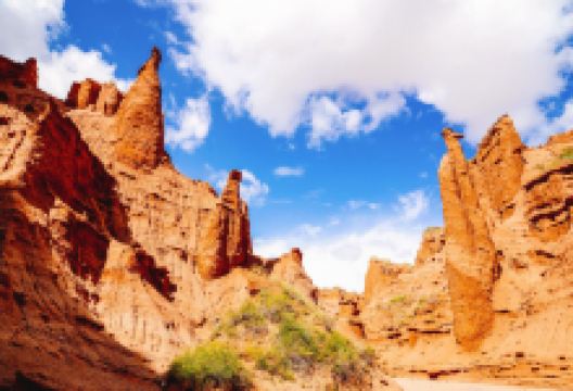 新疆托木尔峰国家级自然保护区景点图片