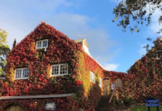 石脊酒庄景点图片