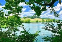 Ijams Nature Center景点图片