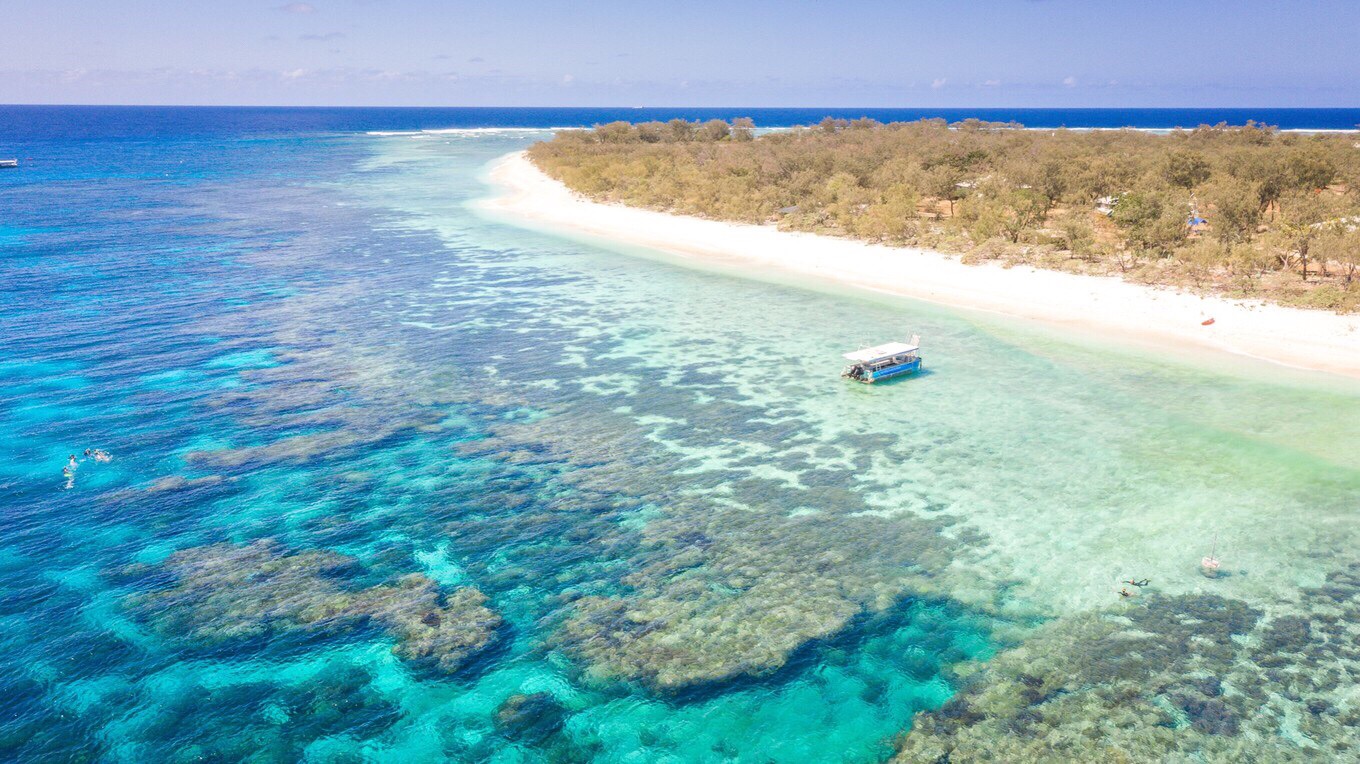 ⭐️伊力特女士岛一日游  大堡礁 是世界最大最长的珊瑚礁群，它纵贯于澳洲的东北沿海，北从托雷斯海峡南