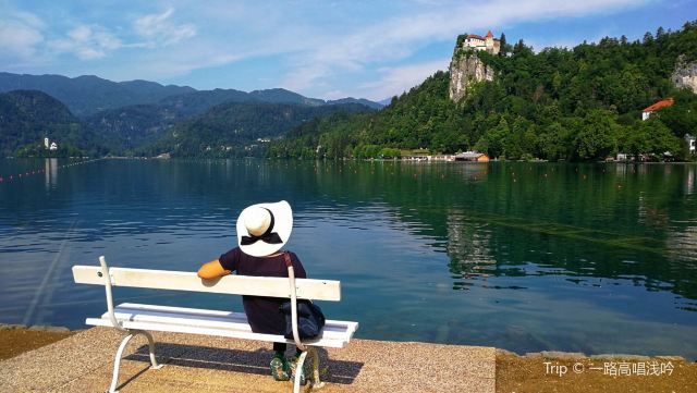 Bled Castle (Blejski Grad)