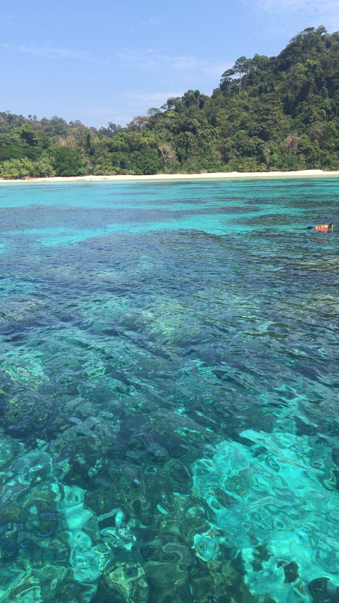 泰国甲米rok岛，每年10月份到来年4月才开放，诂计是全泰国保护得最好的海域，同时，从兰塔岛出发只需