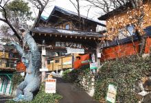 宫城藏王狐狸村景点图片
