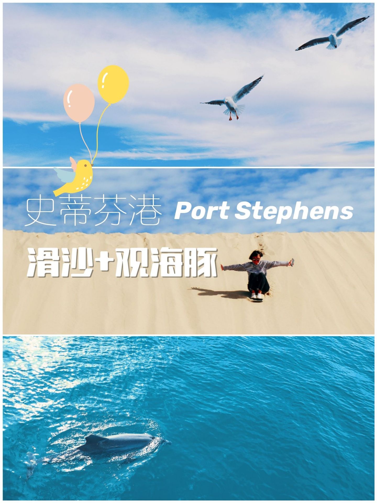 滑沙、看海豚🐬，完美度假地【 史蒂芬港 】🌊  史蒂芬港（Port Stephens），位于 悉尼 