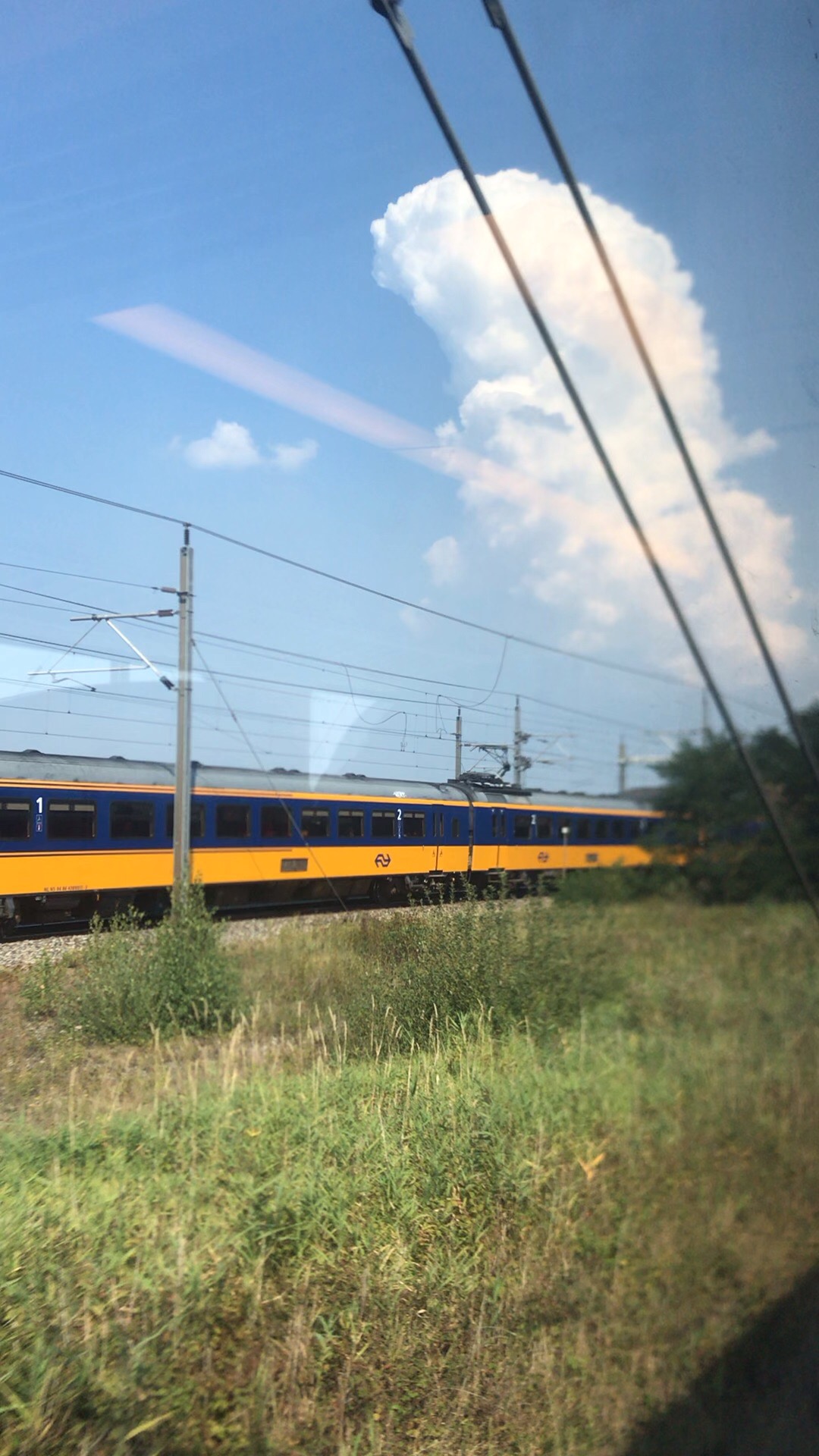 坐火车去阿姆斯特丹，车上没看见车长，站台上也没人接车。想找个工作人员问一问都木有，全凭自己眼看耳听手