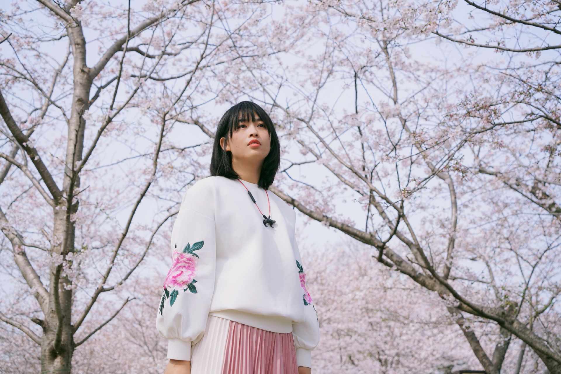 小城故事多，樱花更多！  小城公园作为日本赏樱名所百选，真的没让人失望，成片成片的樱花，照片根本无法