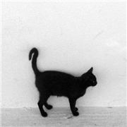 我是你耳朵爷啊