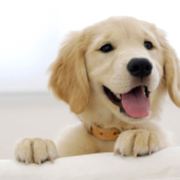 爱王俊凯的嗨起来