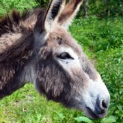 你叫我神经真真