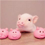 路人也有路人的氣魄