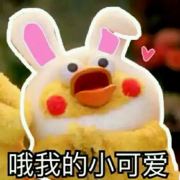 欢乐佳园王学渊