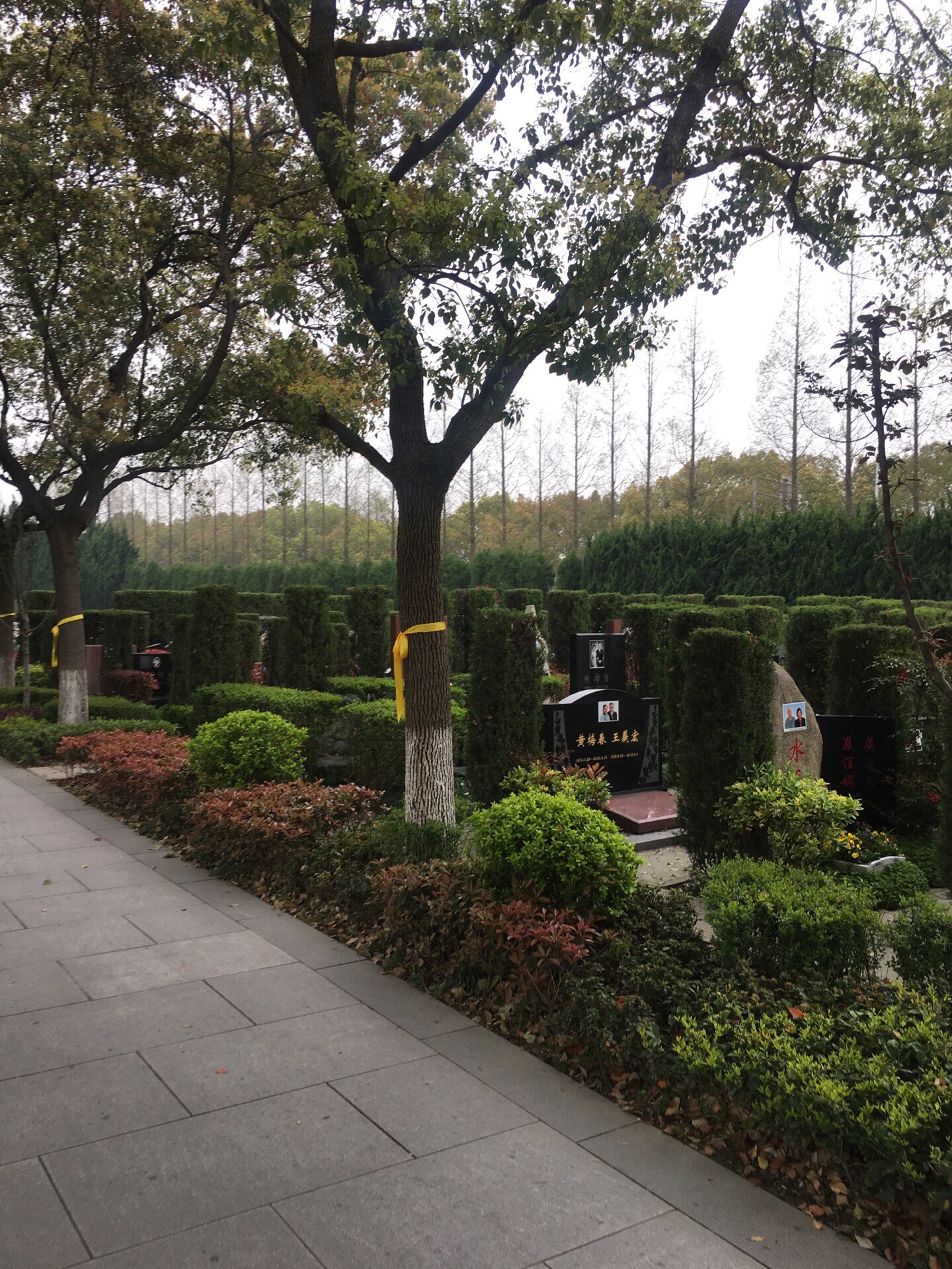 福寿园