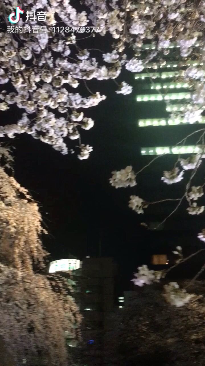 新宿常圆寺
