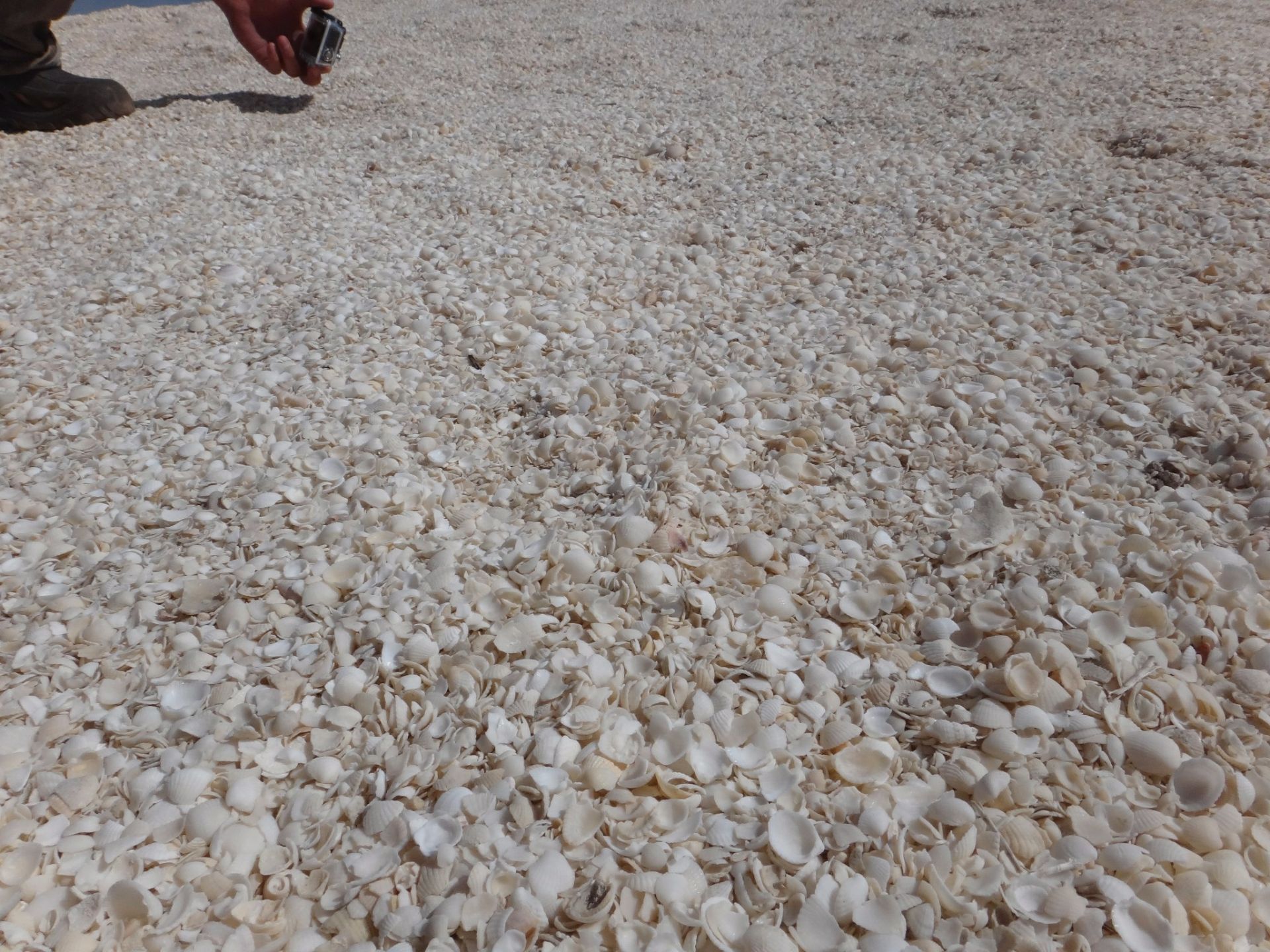 贝壳沙滩真的是名副其实，整个沙滩上都是被海水冲刷上来的贝壳。把整个海滩全部都覆盖了。在这里不能光脚走