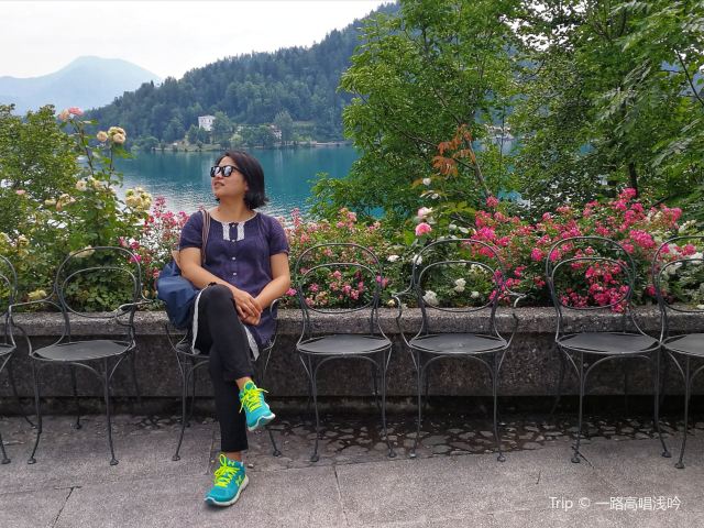Bled Castle (Blejski Grad)