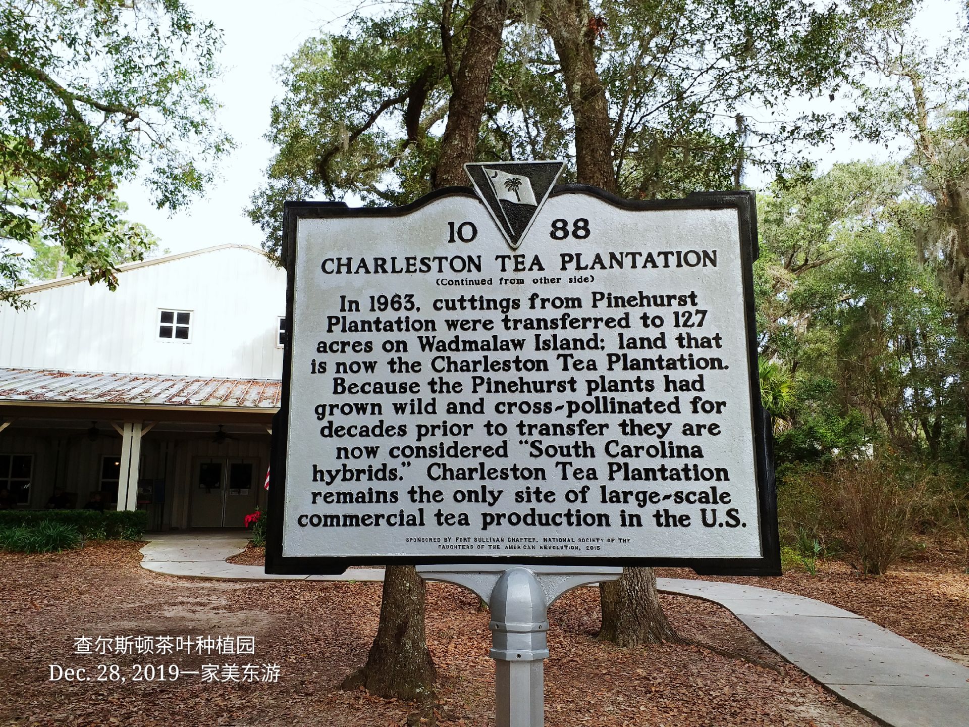 #Dec 28, 2019 #Charleston Tea Plantation # 查尔斯顿·南卡