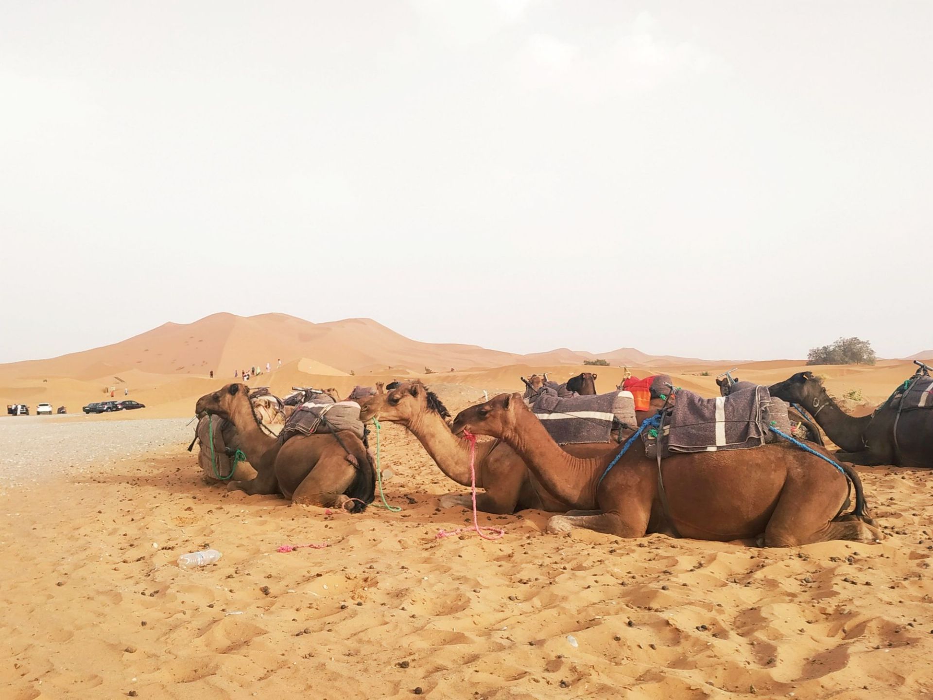 如果你问摩洛哥当地人去哪里的看撒哈拉沙漠最漂亮，他们一定会告诉你是——梅尔祖卡（Merzouga），