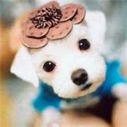 月影沙秋的世界