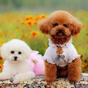 宇宙超级无敌超级