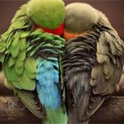 火星人前来拜访