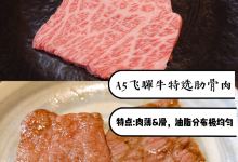 丸明（飞驒高山店）美食图片