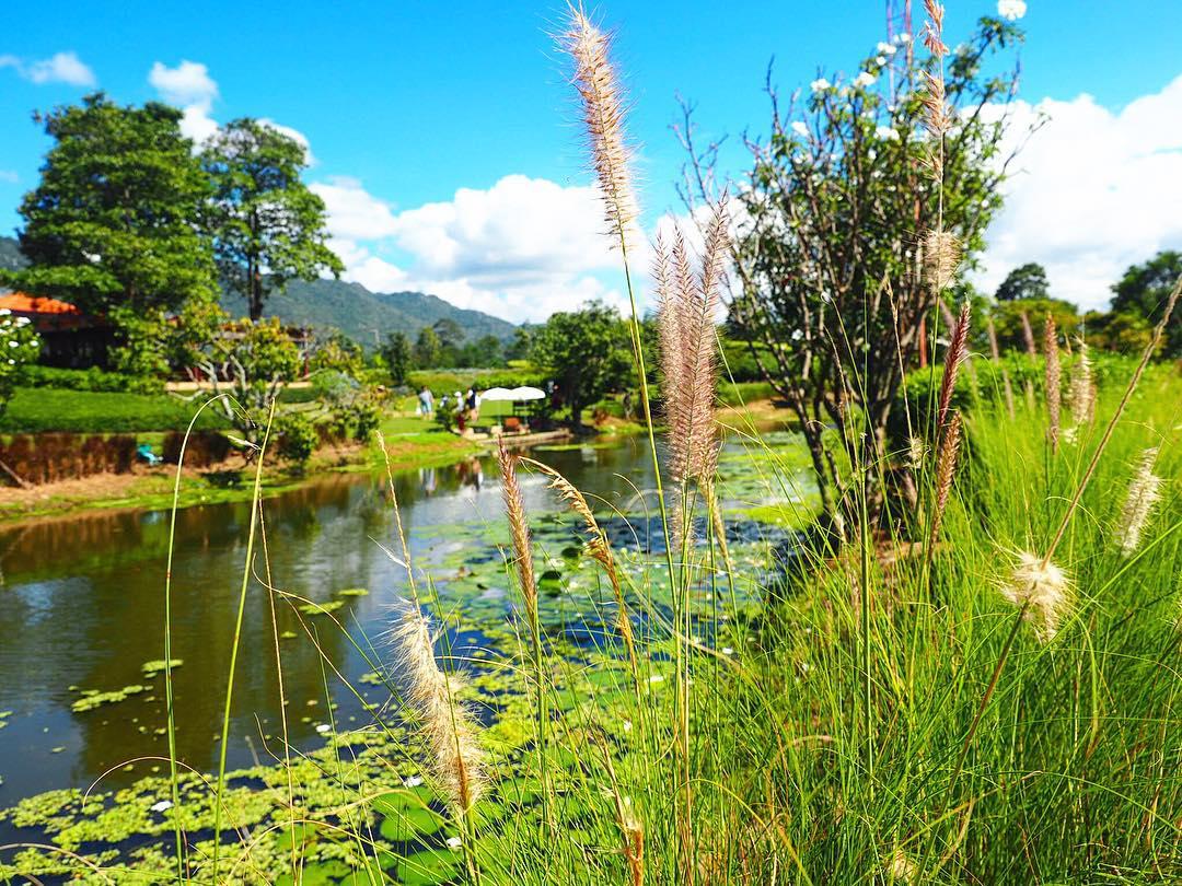 打卡美丽的葡萄产地，PB Valley Khao Yai Winery  到访美丽的葡萄园 我去过