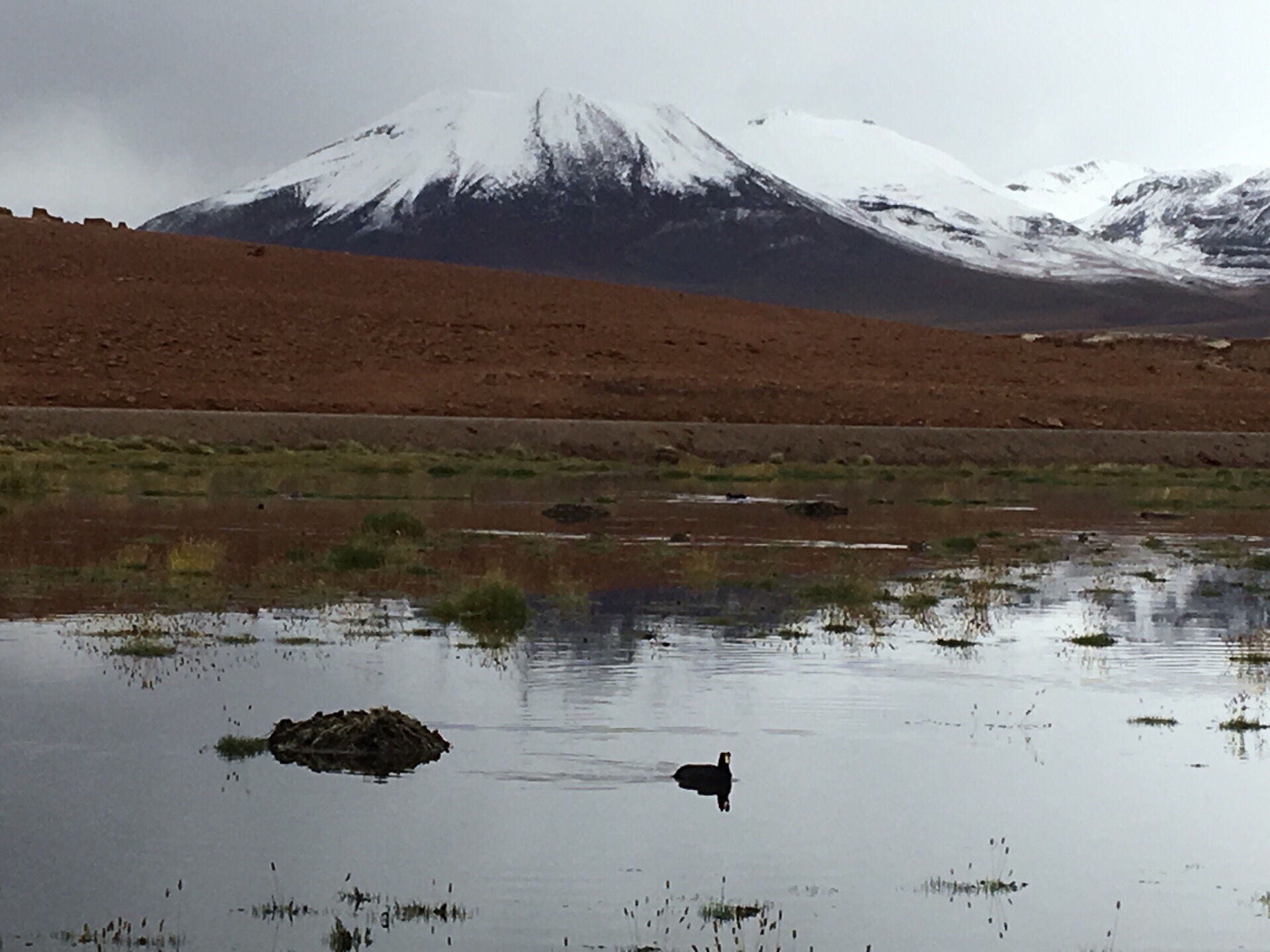 Atacama沙漠深处的间歇泉 这里靠近阿根廷玻利维亚三国交界 火山群景色 热泉涌动  一大早跟团旅