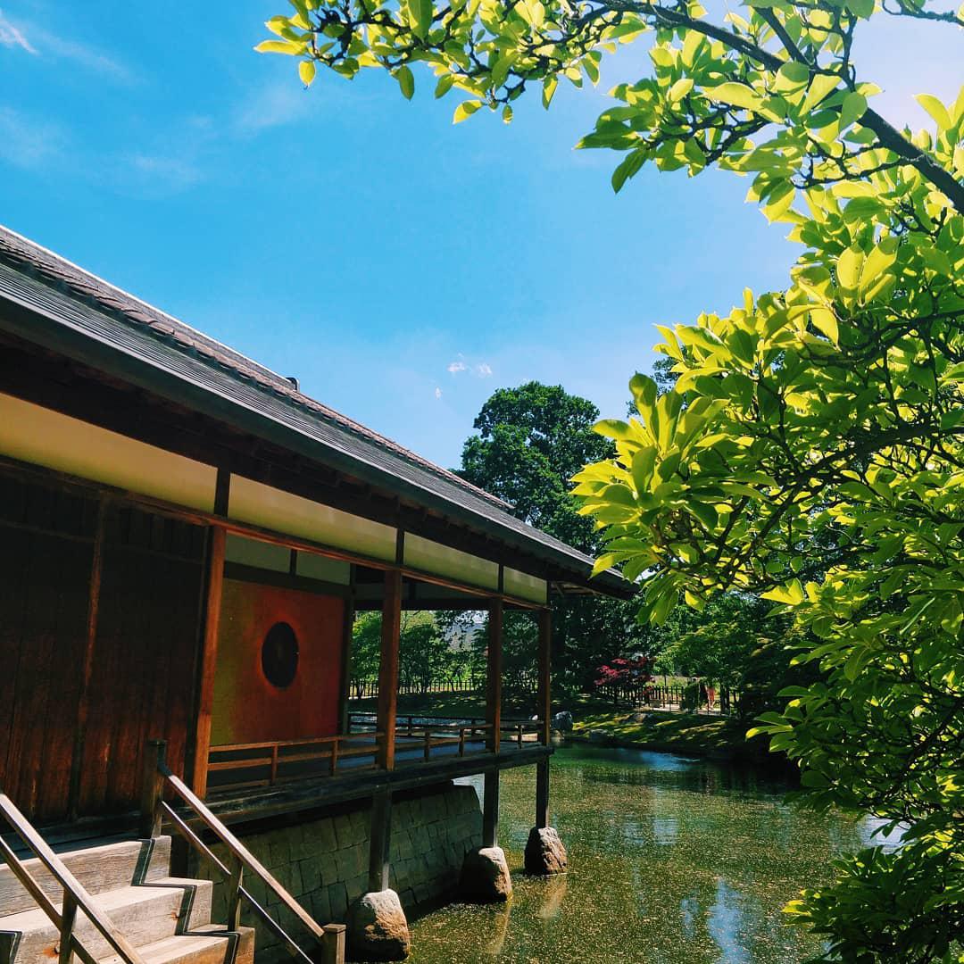 以宁静为名的日本花园  位于哈瑟尔特的日本花园可以说是一个隐藏的宝石，离市中心又点远，但是呢从市中心
