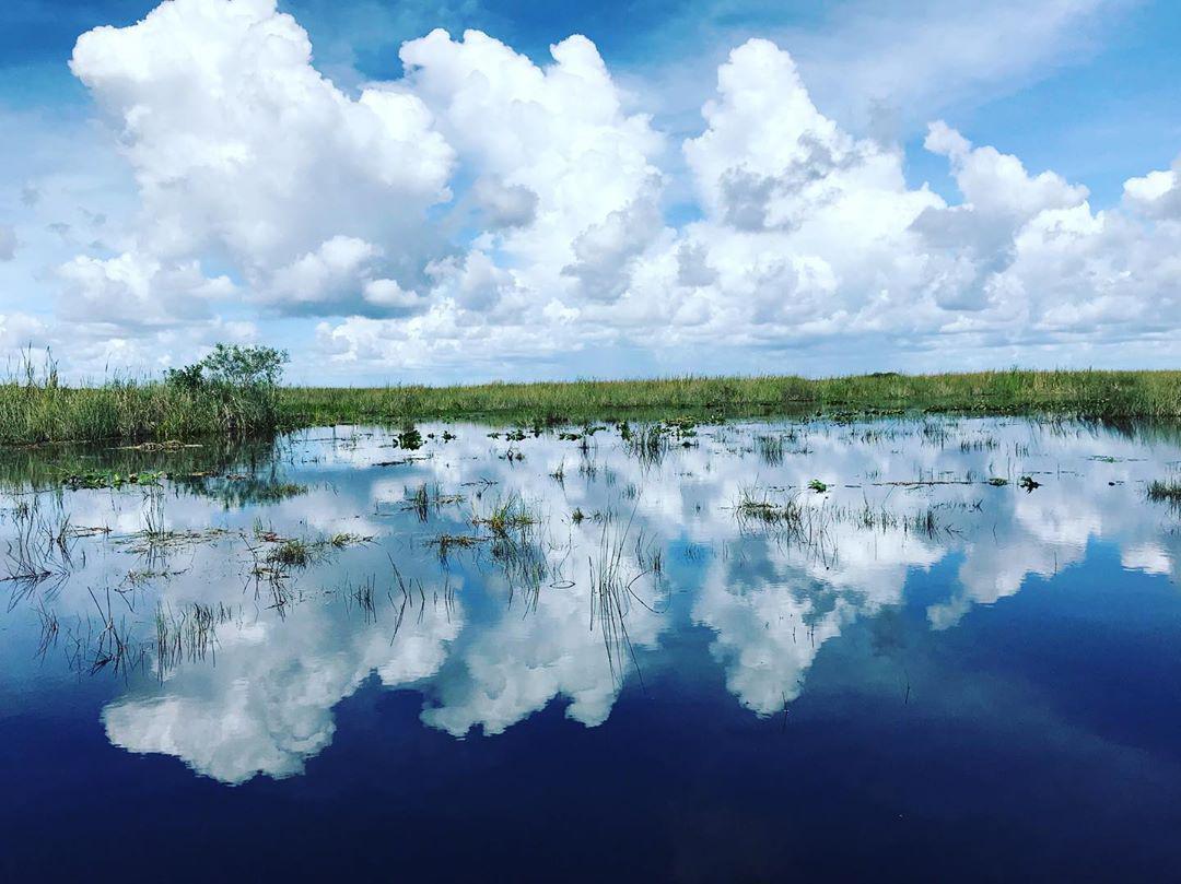 探索迈阿密的神仙地区  大沼泽地是很出名的一个景区地点也是地标性的浏览位置，尤其是这个地方的游猎公园