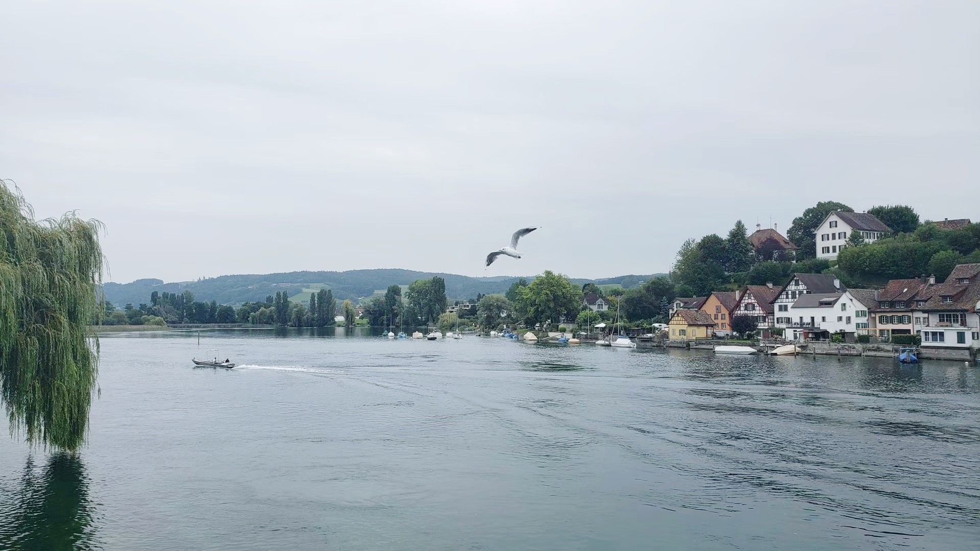 莱茵河畔的施泰因(Stein am Rhein)被称为莱茵河畔的宝石，也是瑞士最有中世纪气氛的城市之