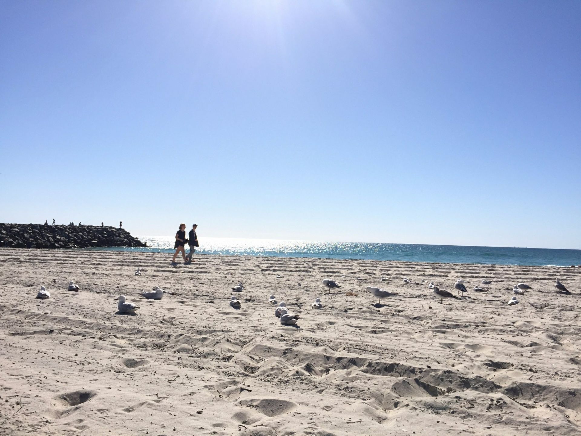 珀斯的科特斯洛海滩，它的面积在珀斯是非常大的，这里的砂质较为的洁白柔软。整个海滩的游客并不是很多，有