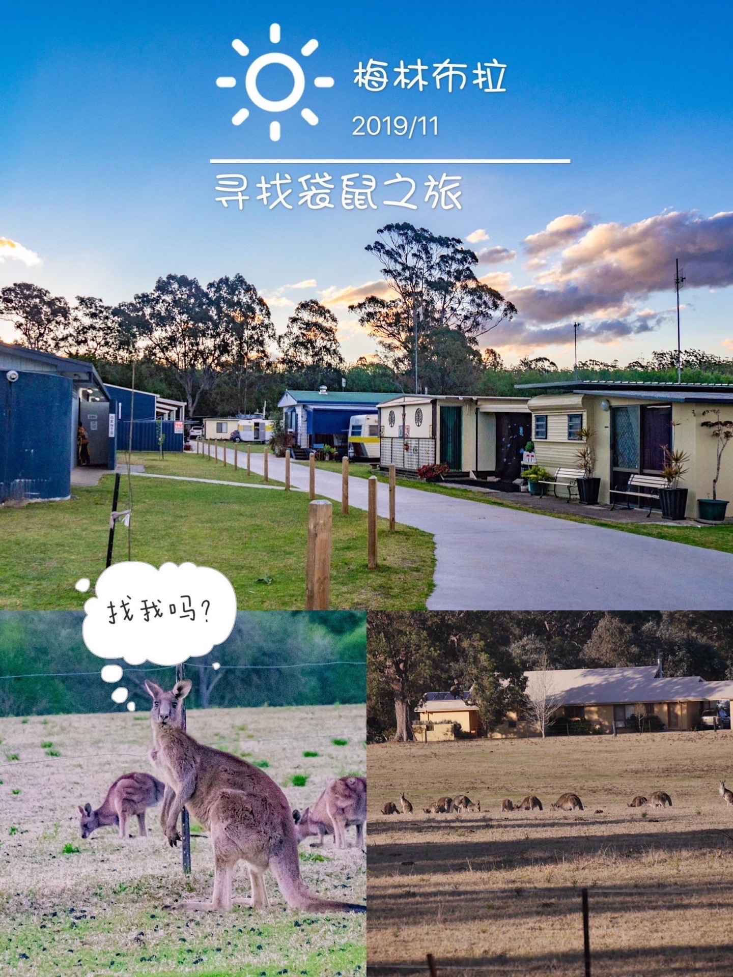 梅林不拉｜寻找袋鼠🦘之旅 今天介绍悉尼墨尔本之间，滨海路上的两个小镇Moruya和Merimbula