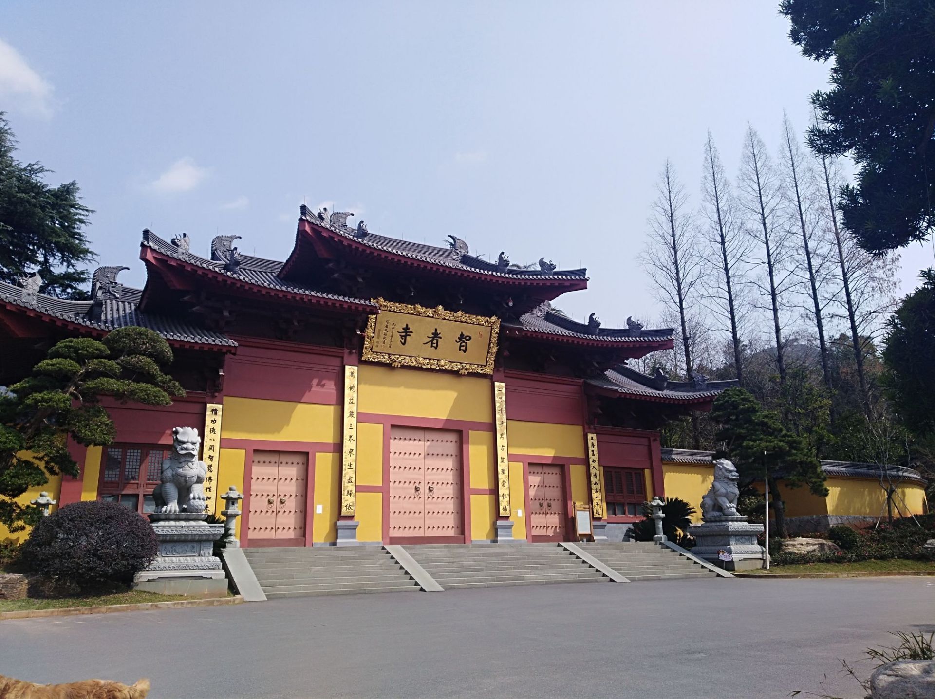 智者寺