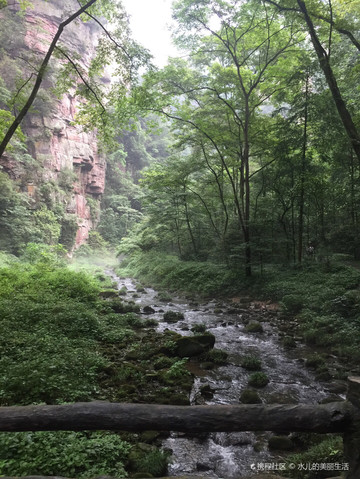 张家界金鞭溪大峡谷