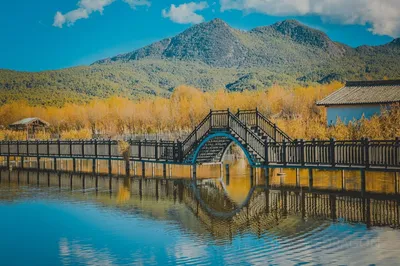 拉市海湿地公园