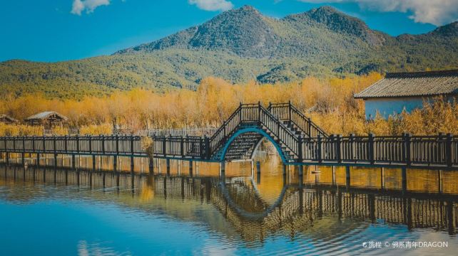 拉市海湿地公园