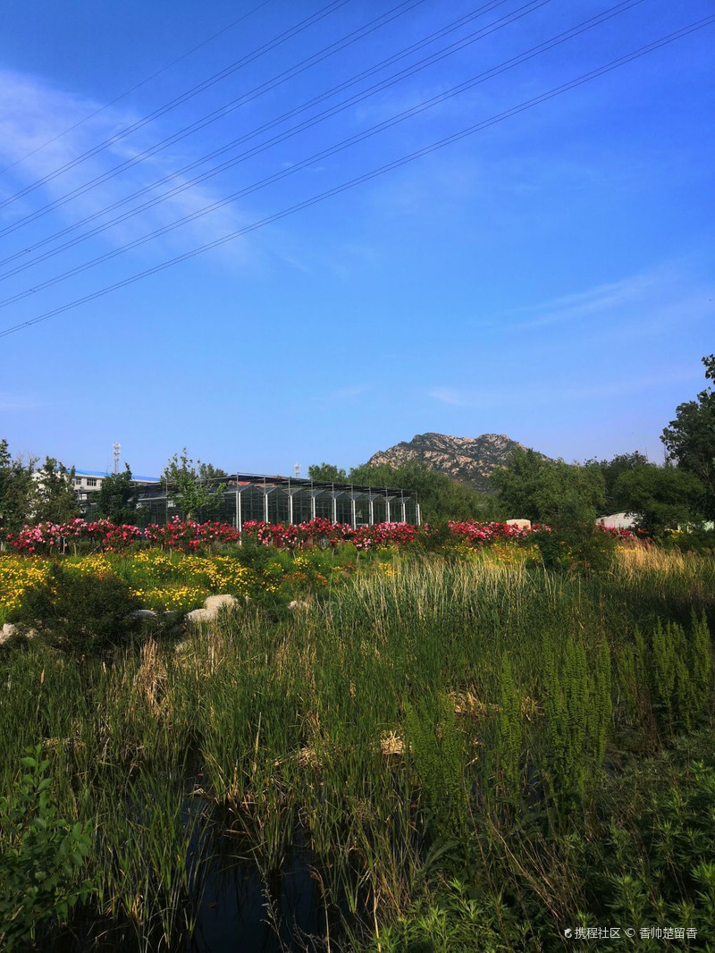 美丽的张村河公园