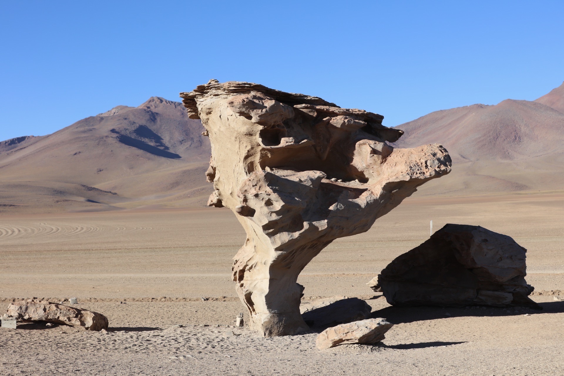 我们花一天时间穿越玻利维亚与智利交界处的National Reserve Eduardo Abaro