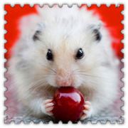 我只是一片树叶