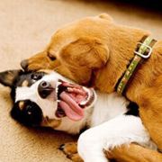 别看了洗洗睡去吧