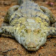 迈行天下伴我飞腾