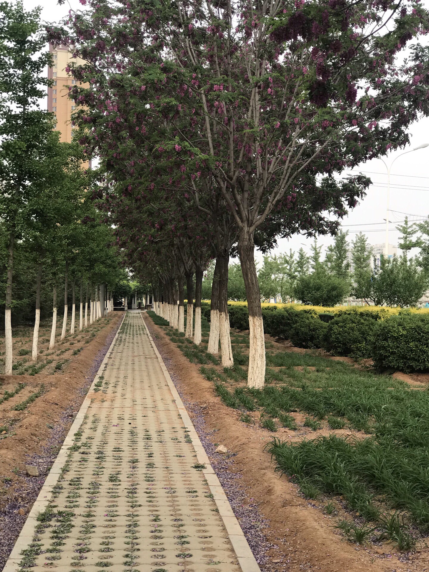 建平县城乡建设档案馆