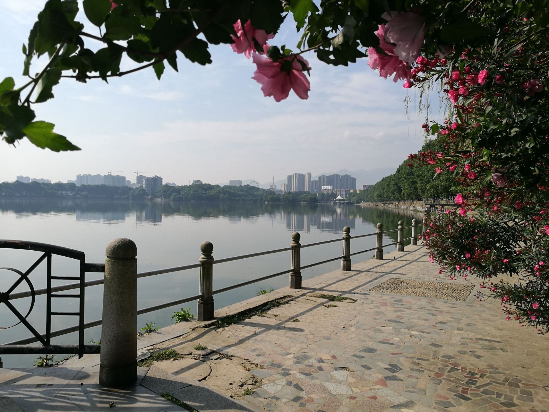 九江甘棠湖，离长江很近，原来是通长江的。历史上这里是水师驻地，周瑜在此点过将。 环湖一周都有步道，是