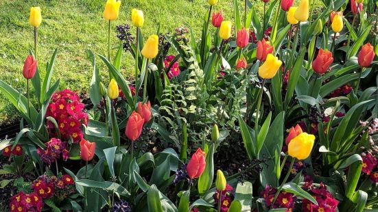 Paddington Street Garden