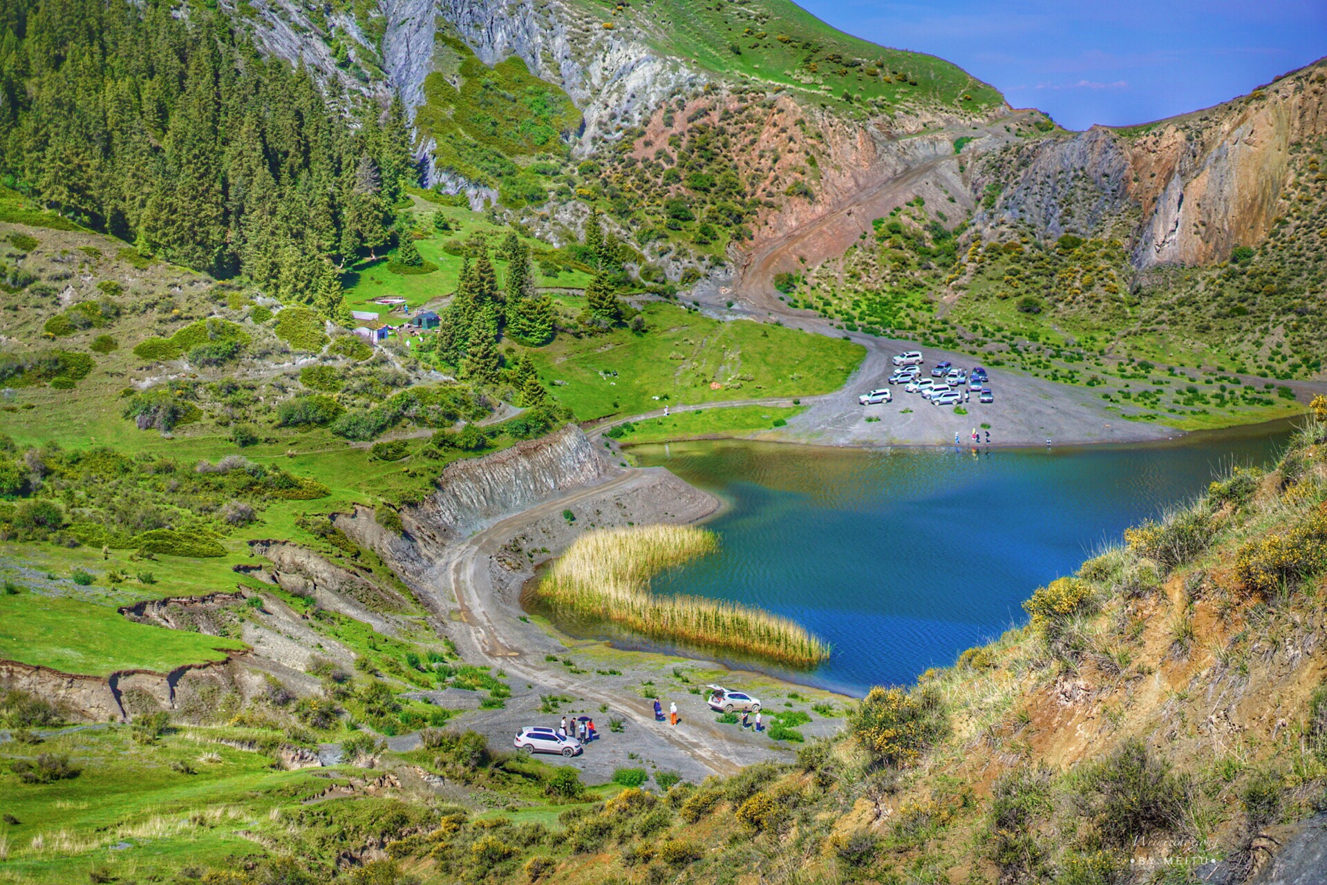 3-Day Bole Tour: Haloxylon Forest's ecological beauty, Sayram Lake's scenic charm