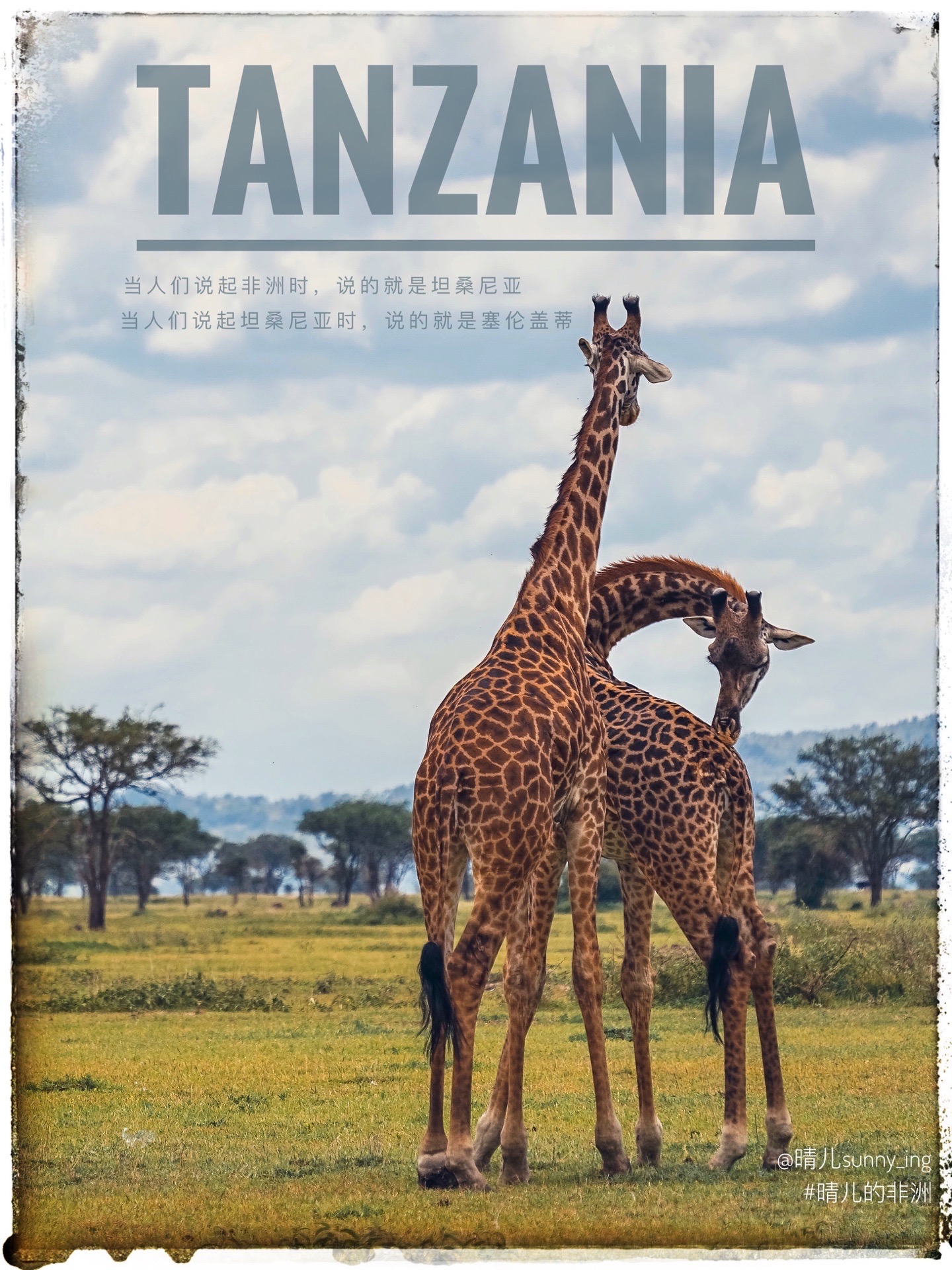 坦桑尼亚🇹🇿｜塞伦盖蒂上的迁徙规律 💁🏽‍♀️这一篇，我们来整理一下东非大迁徙在坦桑尼亚上进行的季节