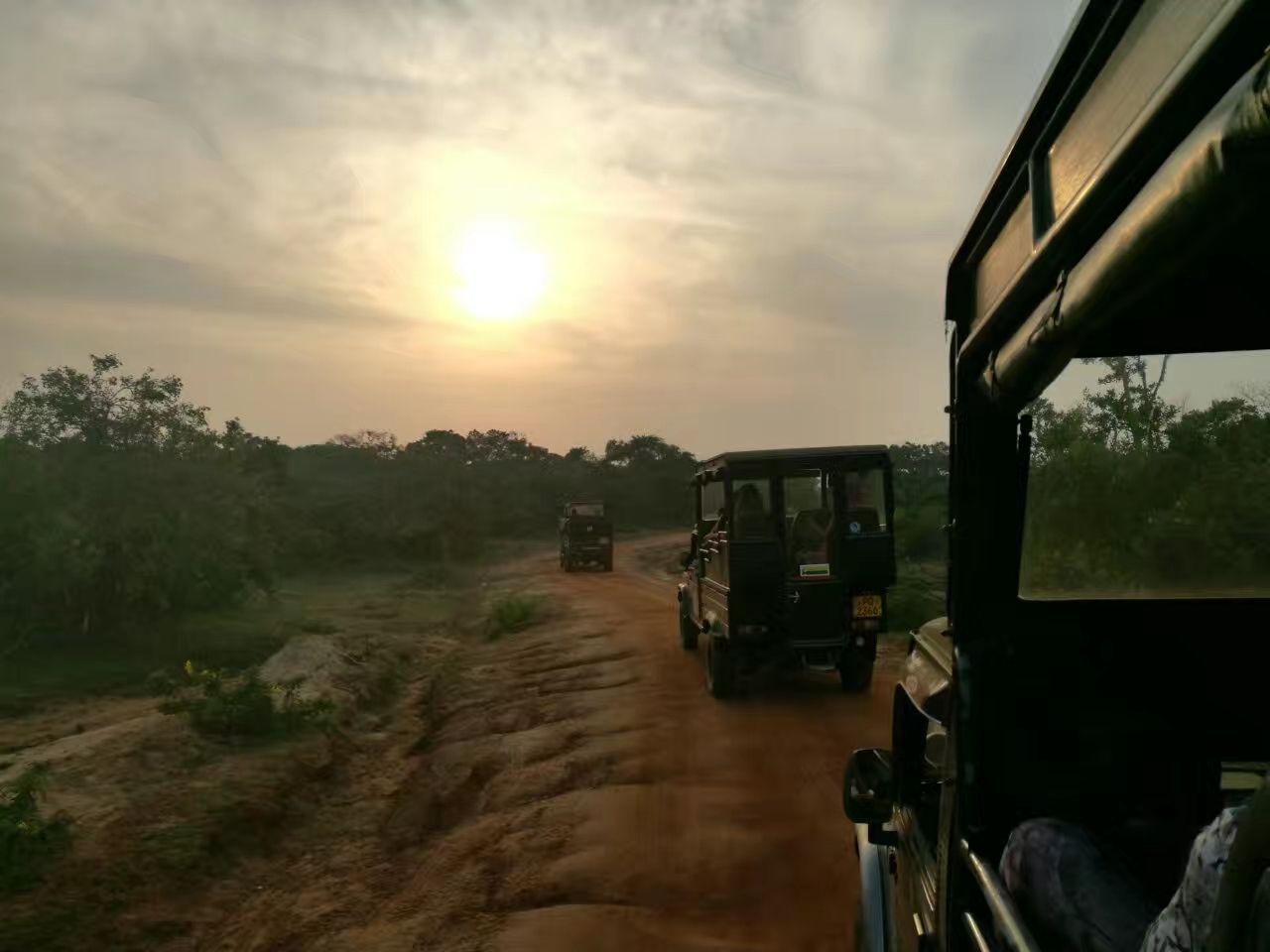 斯里兰卡国家公园 清晨，朝阳刚刚升起，我们就坐上去国家公园的吉普车上，在国家公园的两个多小时里，尘土