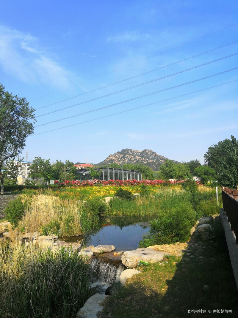 美丽的张村河公园